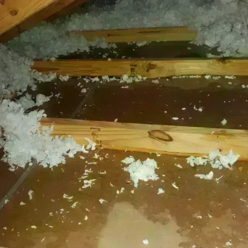 Attic Water Damage in Mayfield, PA